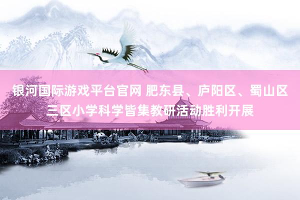 银河国际游戏平台官网 肥东县、庐阳区、蜀山区三区小学科学皆集教研活动胜利开展