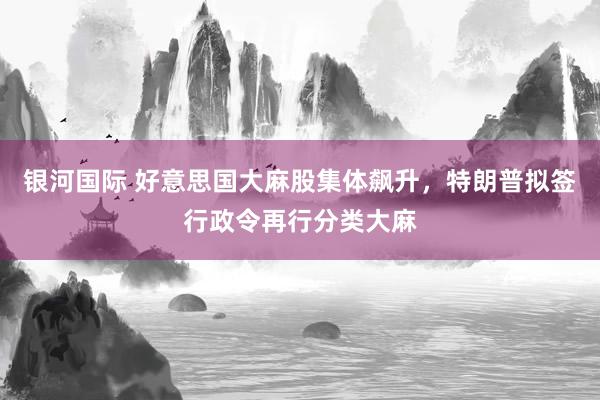 银河国际 好意思国大麻股集体飙升，特朗普拟签行政令再行分类大麻